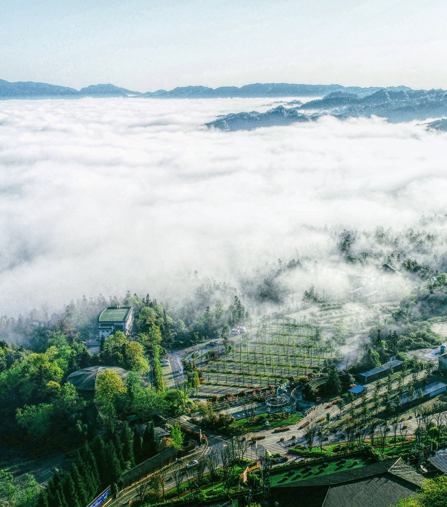 优德88(中国区)最新官方网站